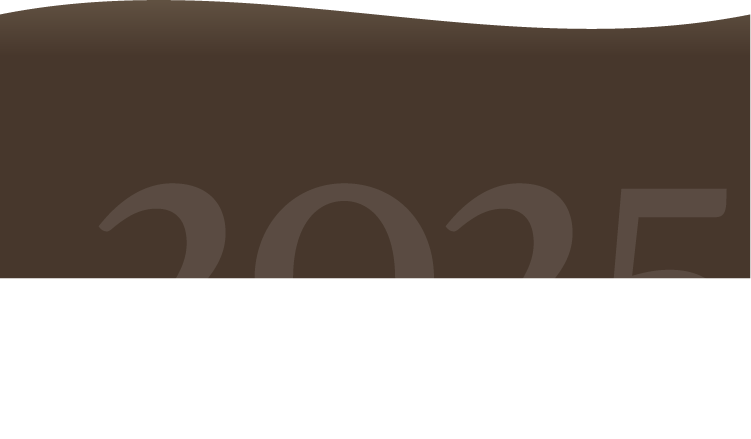 2025